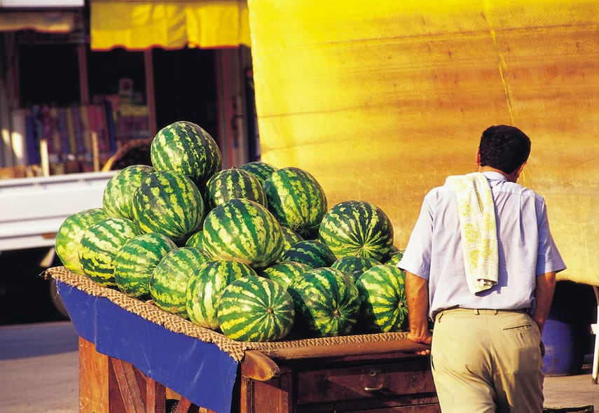 Project, 
, @tags, @keywords